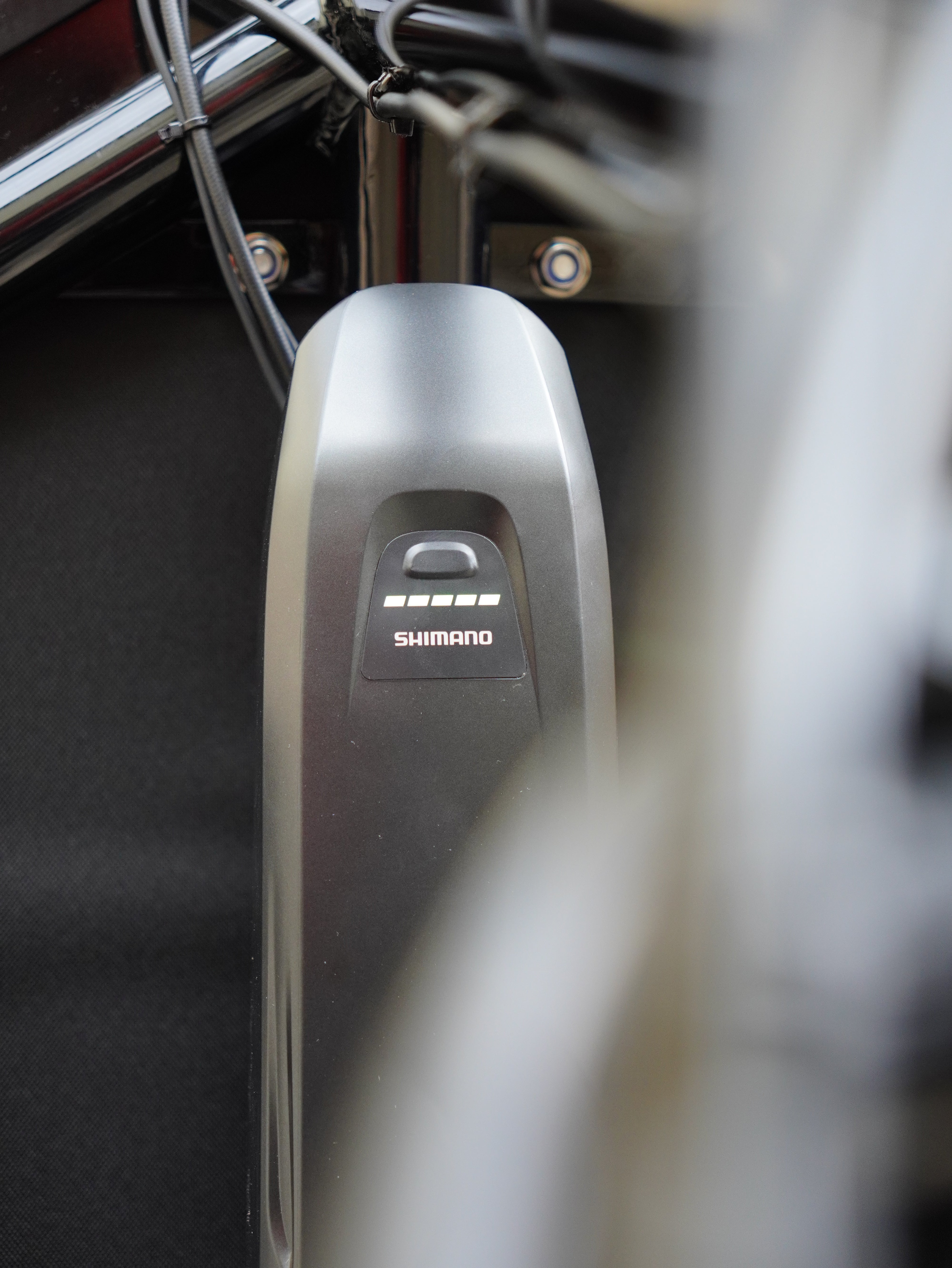 Larry vs Harry STePS eBullitt e6100 Alfine11 Di2 + GATES Riemen