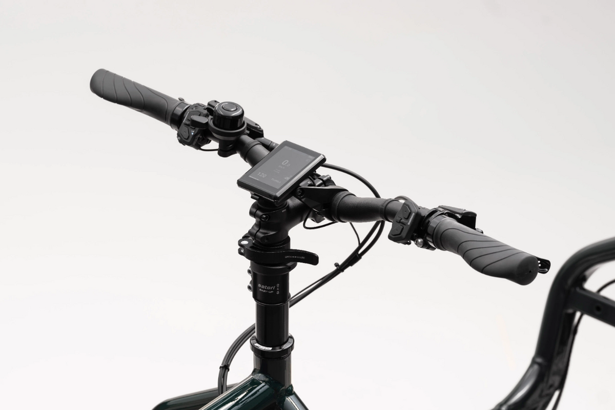 Larry vs Harry eBullitt Shimano STePS EP600, Nexus5 Di2 - Lastenrad