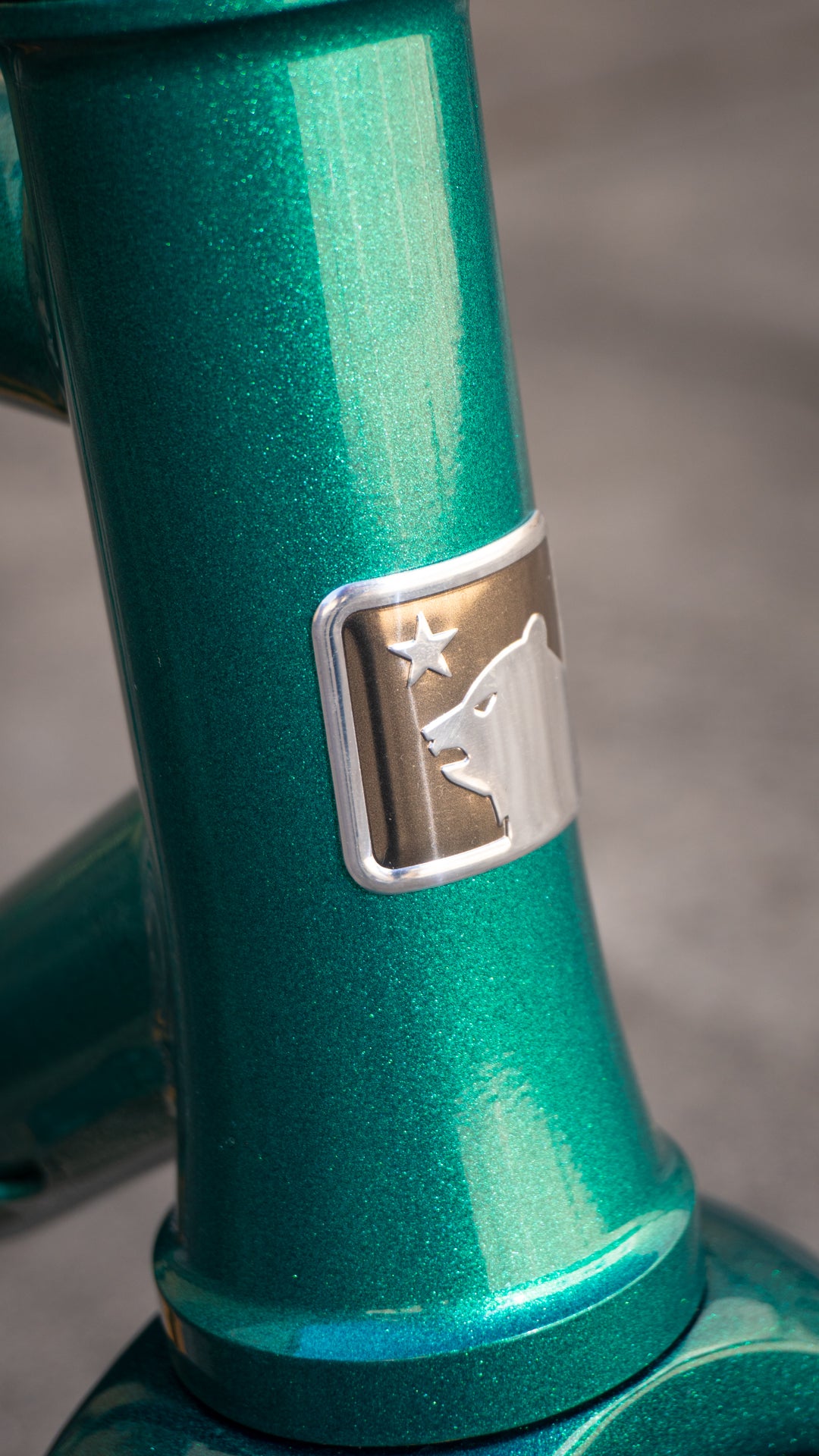 Marin Nicasio 2 Rahmen-Set - Grün Metallic