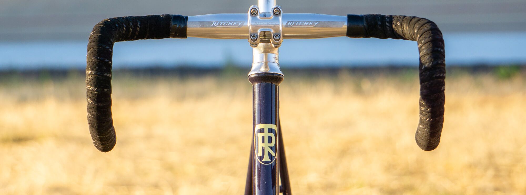 Ritchey Garden City Singlespeed Stahl-Rahmen Set - Midnight Violet / Moon Yellow