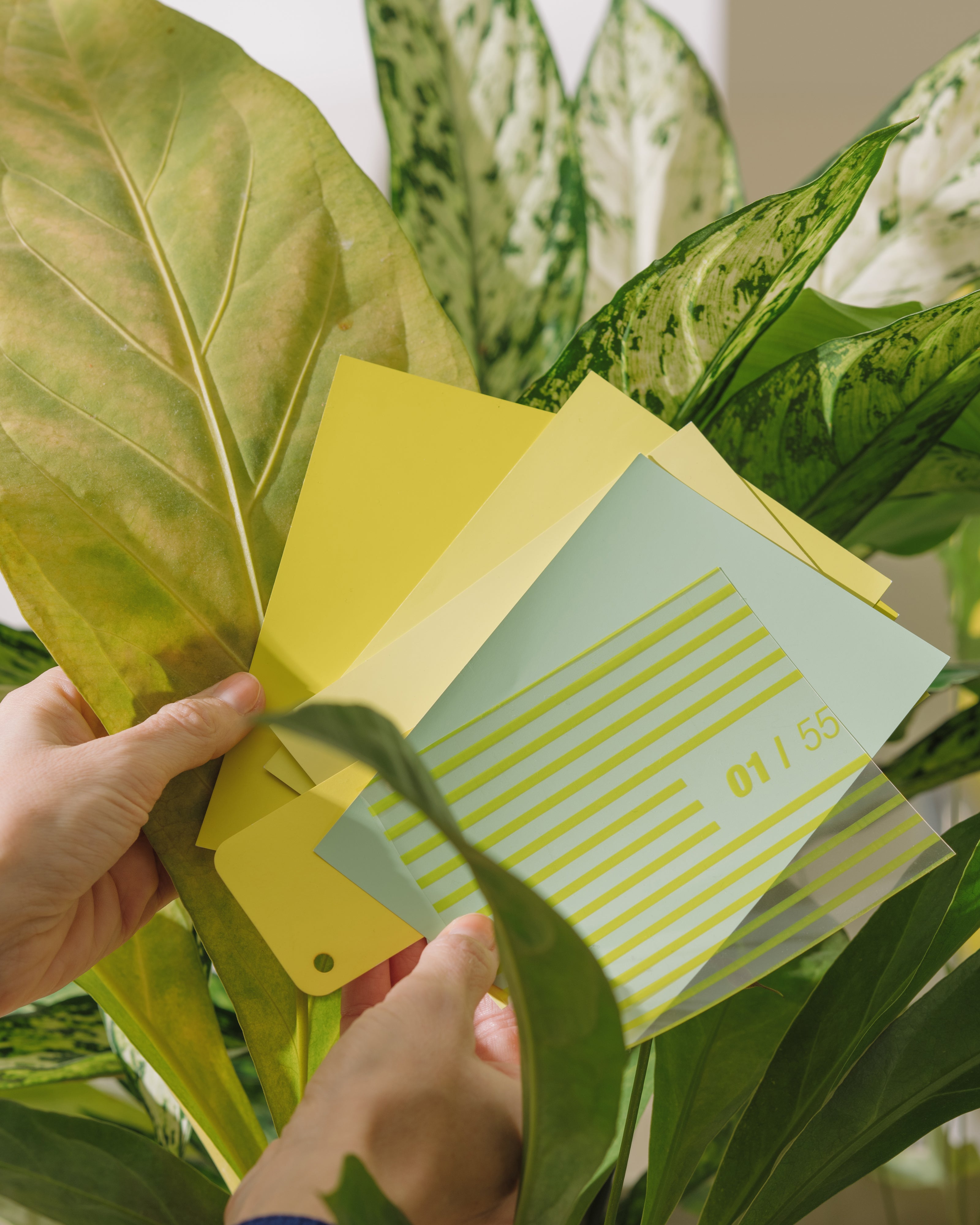 Limited Edition muli cycles x Besau-Marguerre "st" Nexus5 Di2 Nabenschaltung - mint yellow