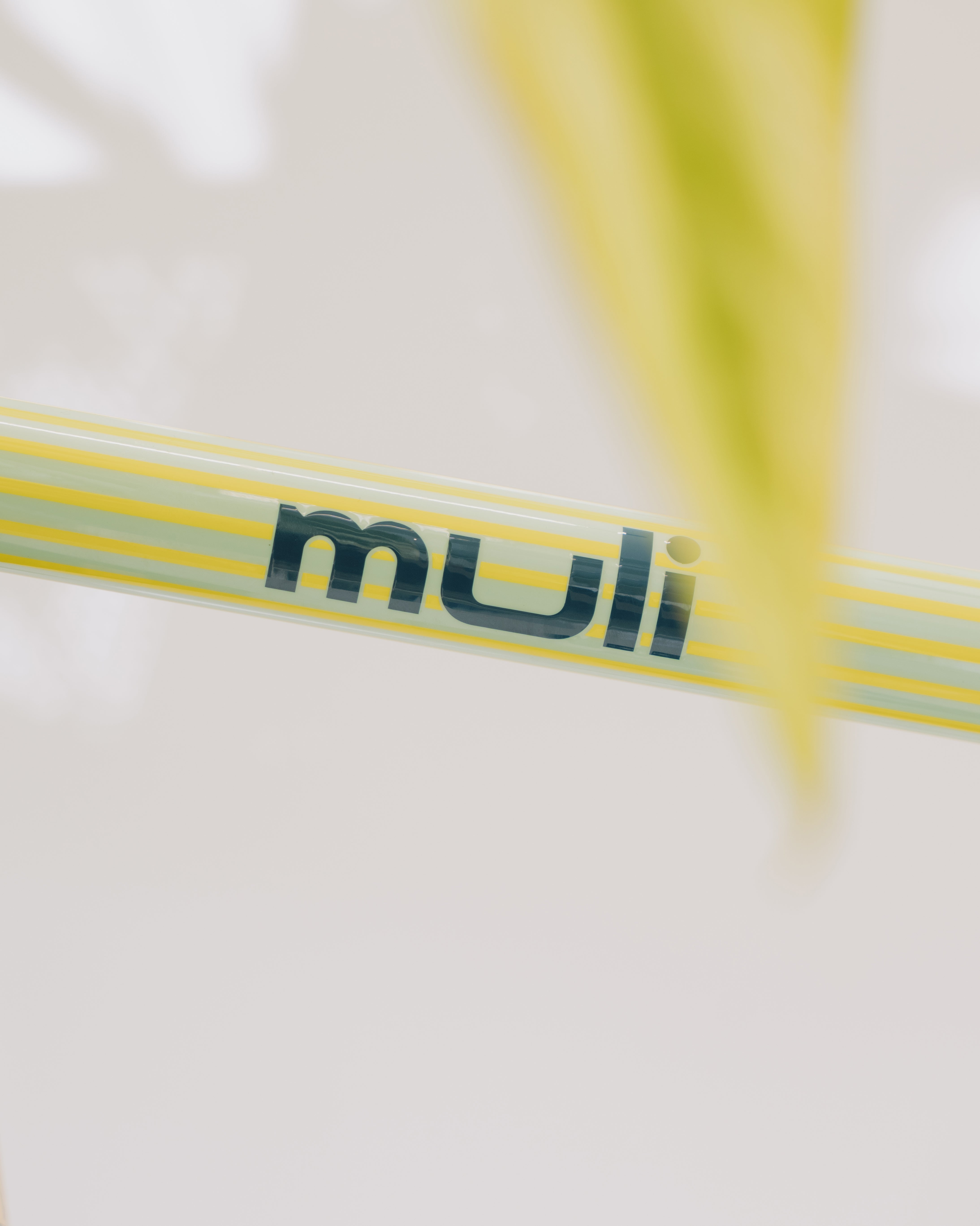 Limited Edition muli cycles x Besau-Marguerre "st" Nexus5 Di2 Nabenschaltung - mint yellow