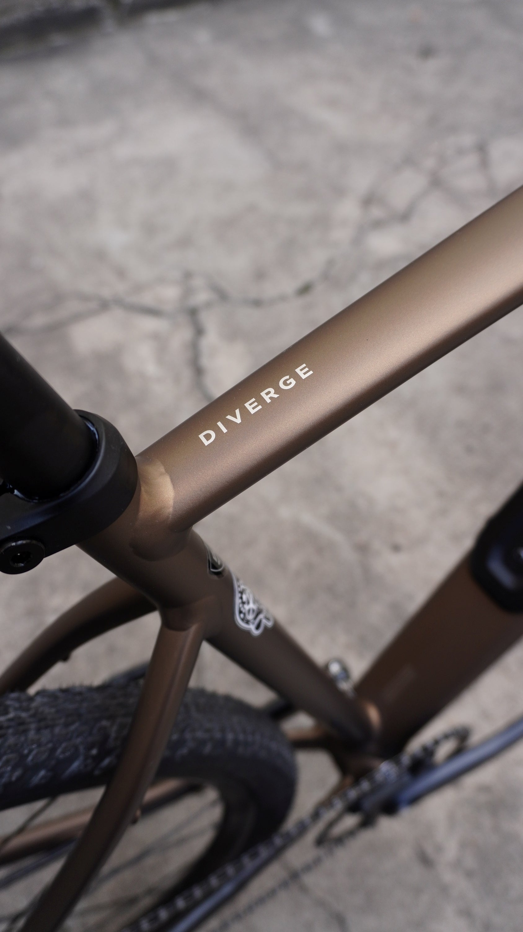 Specialized DIVERGE 4 Sport, Shimano Cues Future Shock - Satin Burnt Gold Metallic