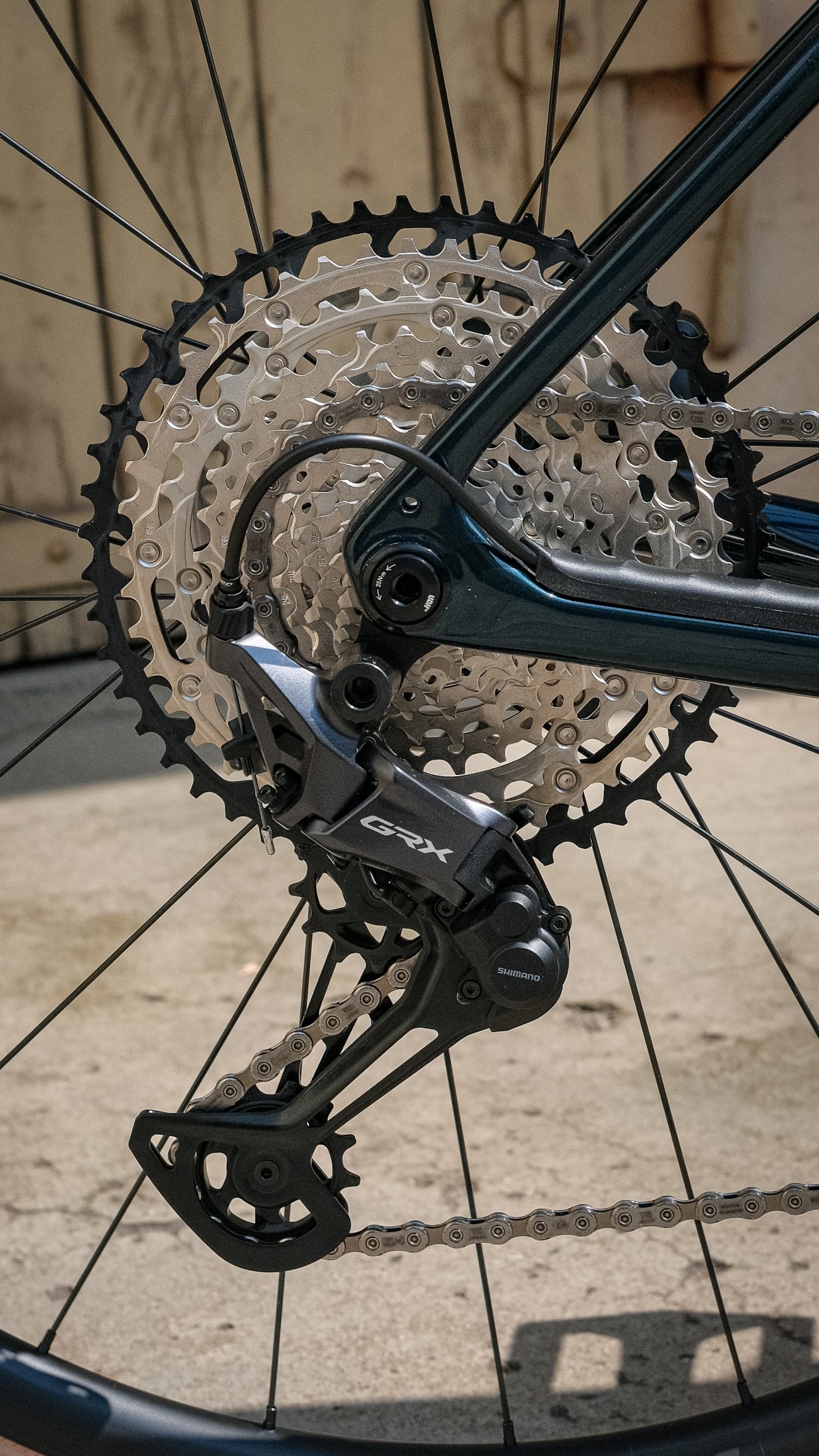 Specialized Diverge 4 Sport Carbon, Shimano GRX 1x12 - Emerald Metallic / Silver Dust