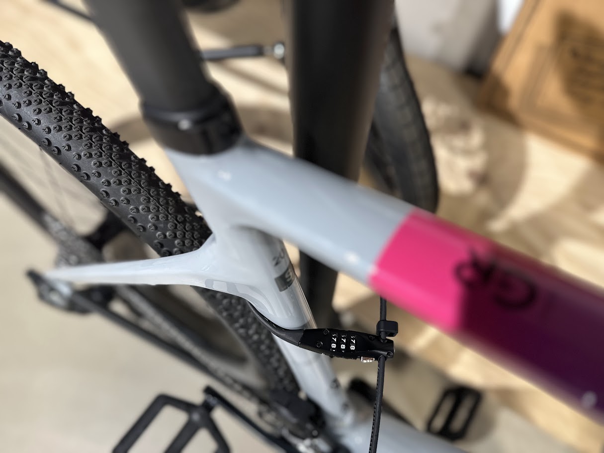 ABUS Combiflex TravelGuard Kabelbinderschloss, 45cm Schwarz