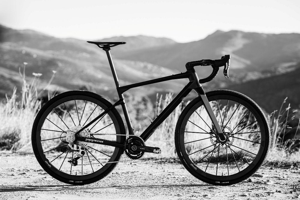 Rotor ALDHU CARBON Kurbelarme