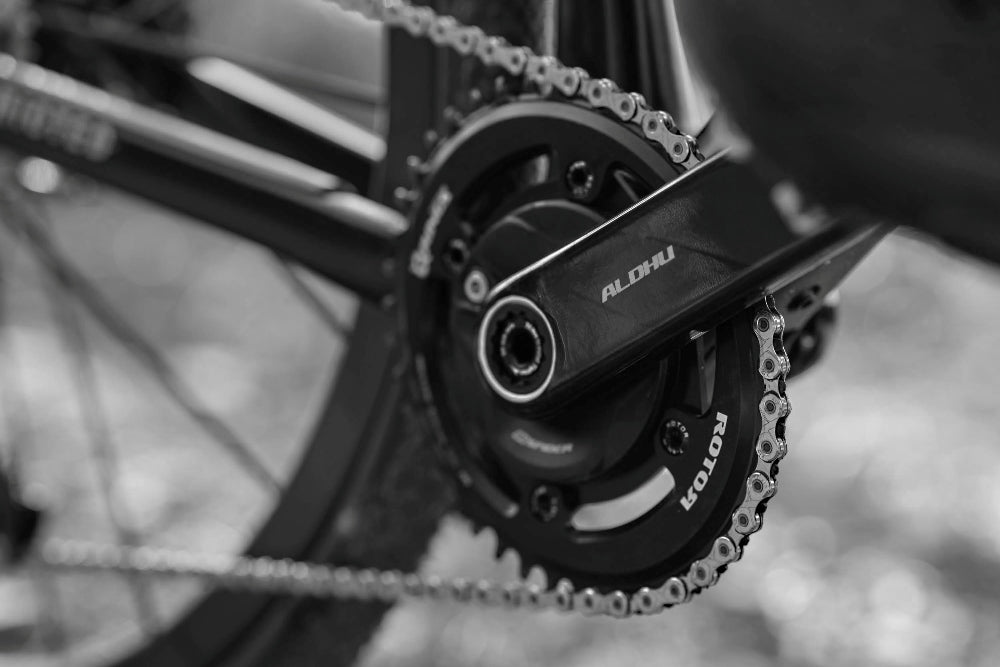 Rotor ALDHU CARBON Kurbelarme