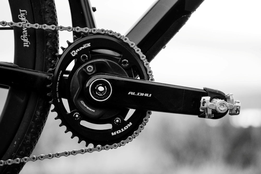 Rotor ALDHU CARBON Kurbelarme