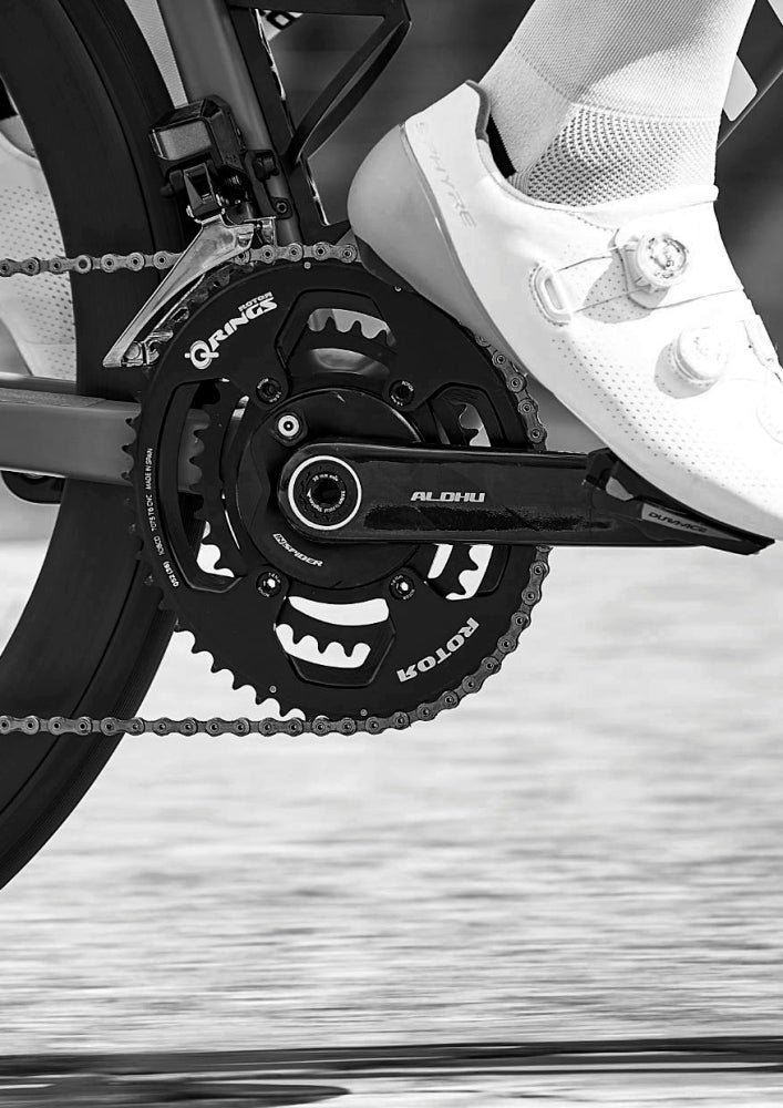 Rotor ALDHU CARBON Kurbelarme