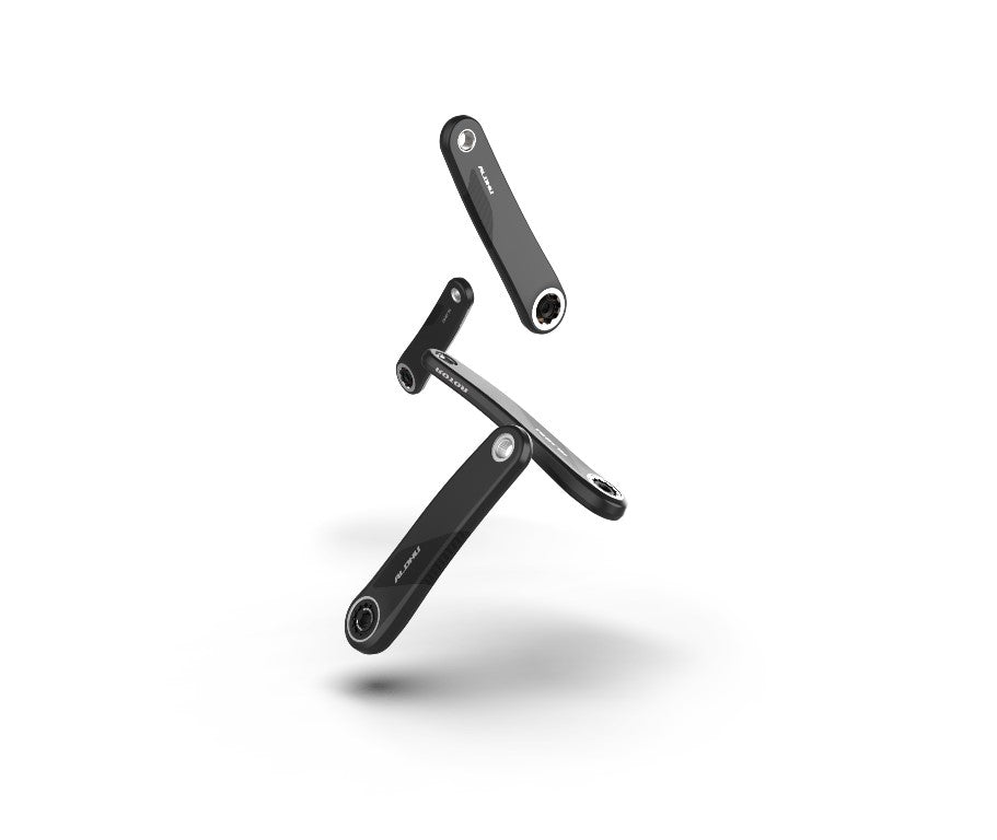 Rotor ALDHU CARBON Kurbelarme