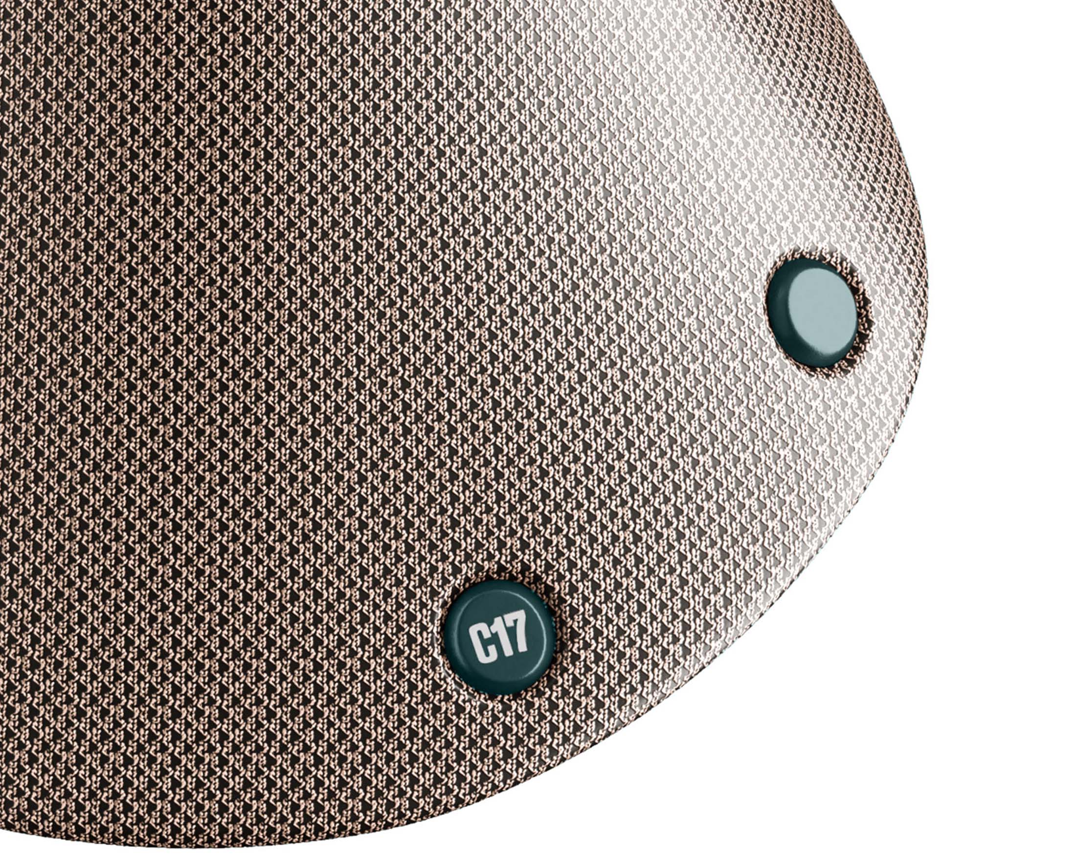 Brooks Cambium C17 Davon
