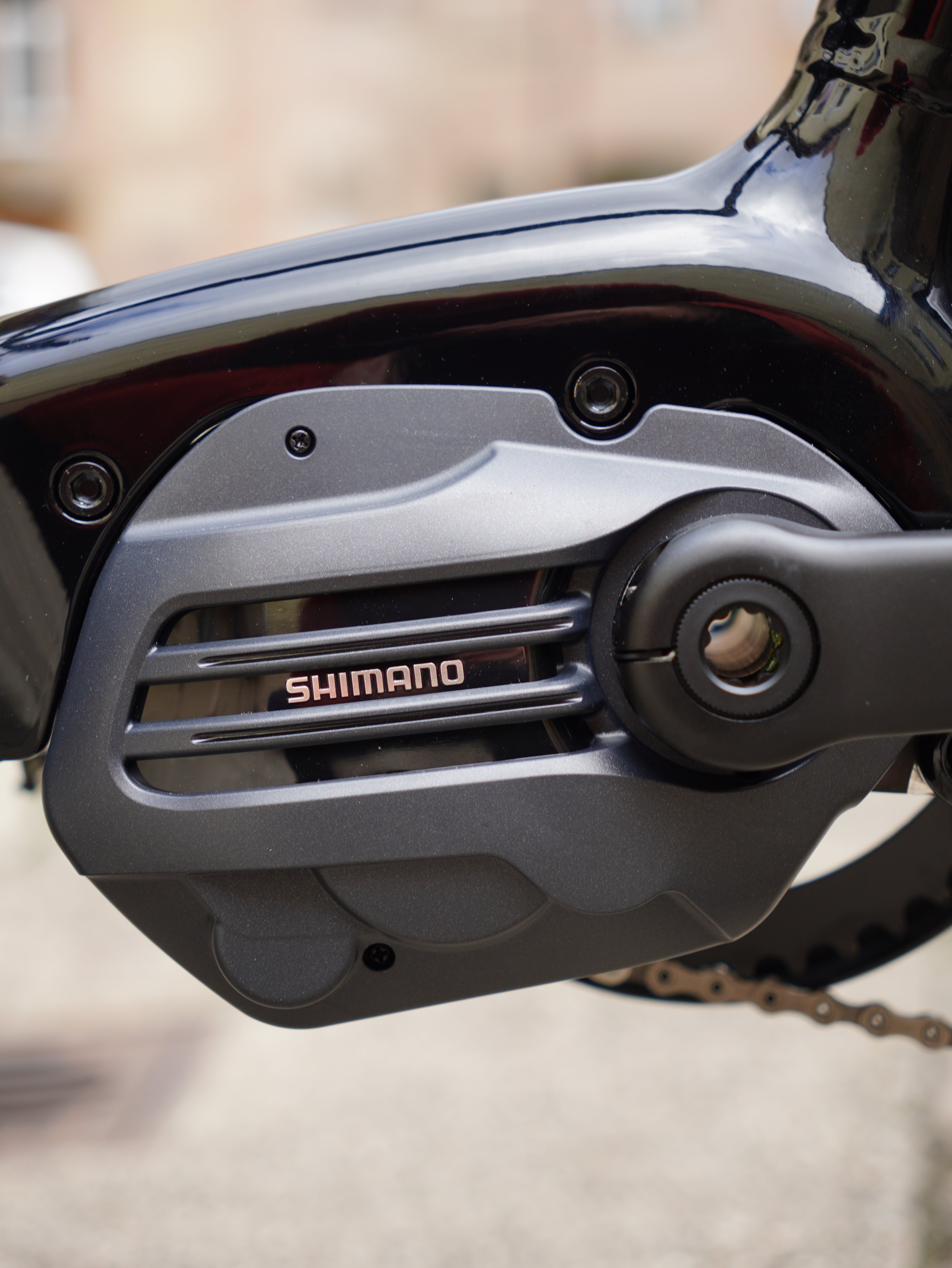 Larry vs Harry STePS eBullitt e6100 Alfine11 Di2 + GATES Riemen