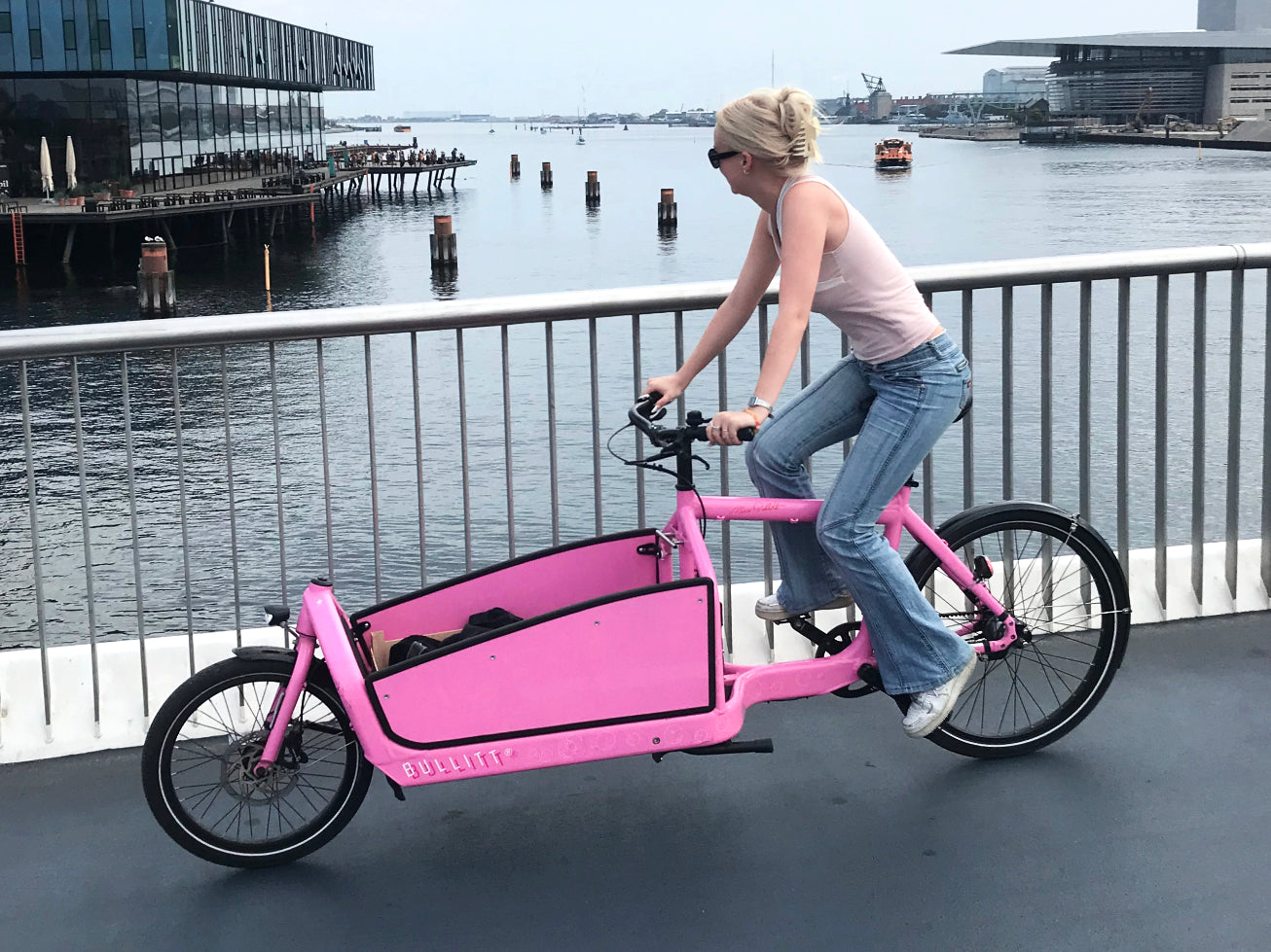 Larry Harry Cargo Bike Bullit Elettrica Larry Vs Harry Bullitt X