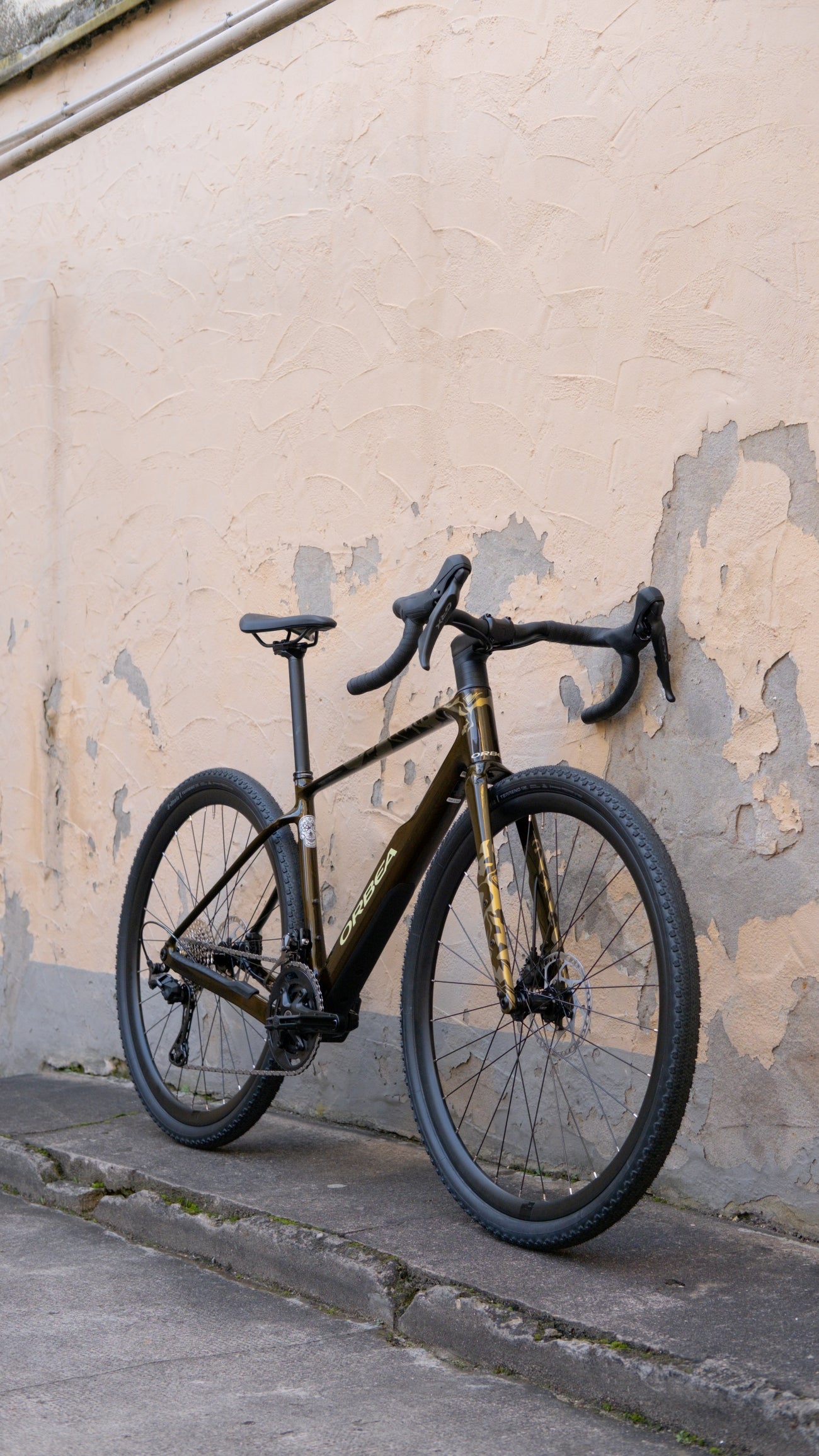 Orbea Terra ADV M30Team (2026), Caramel Carbon View (Gloss)