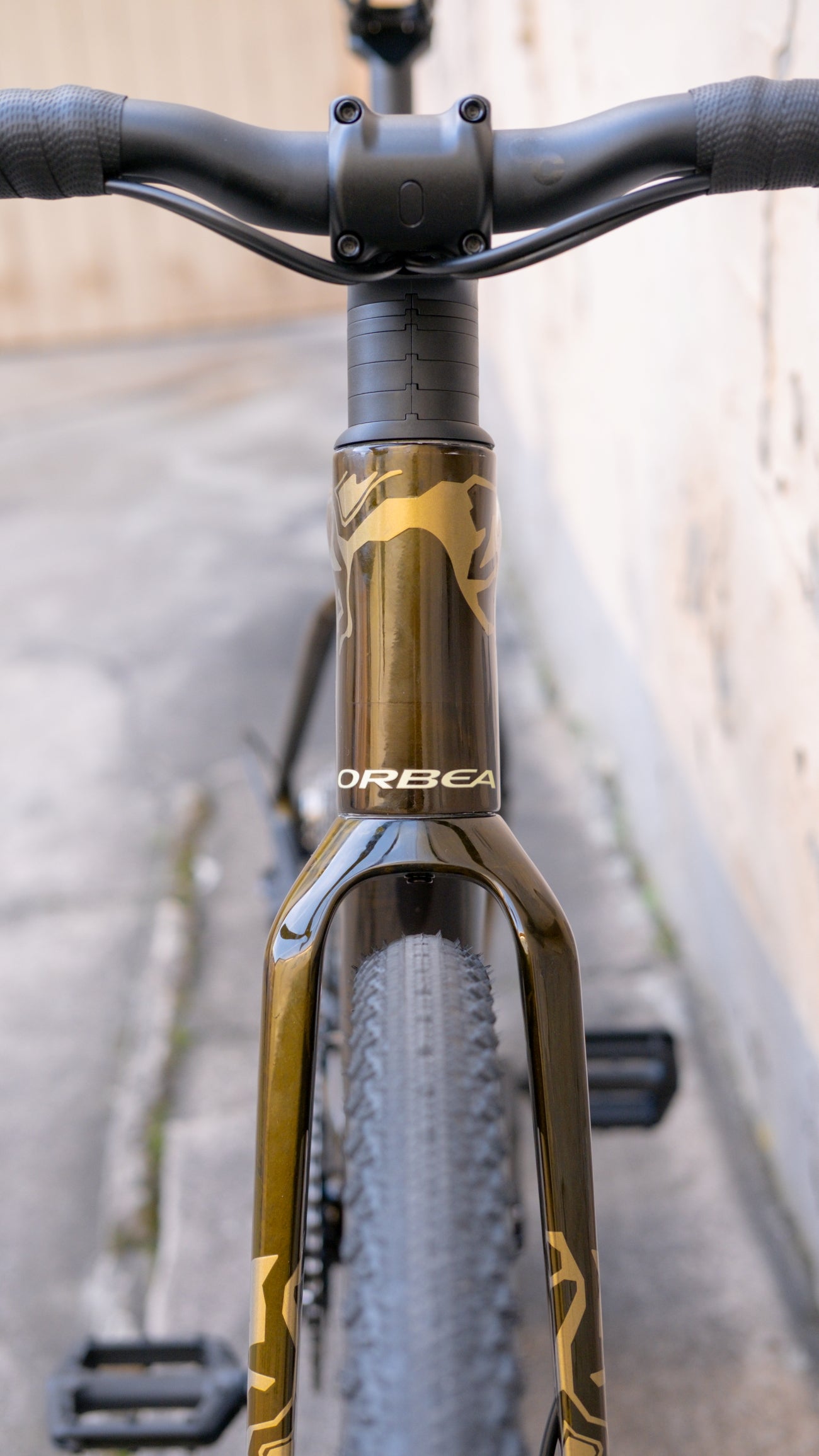 Orbea Terra ADV M30Team (2026), Caramel Carbon View (Gloss)