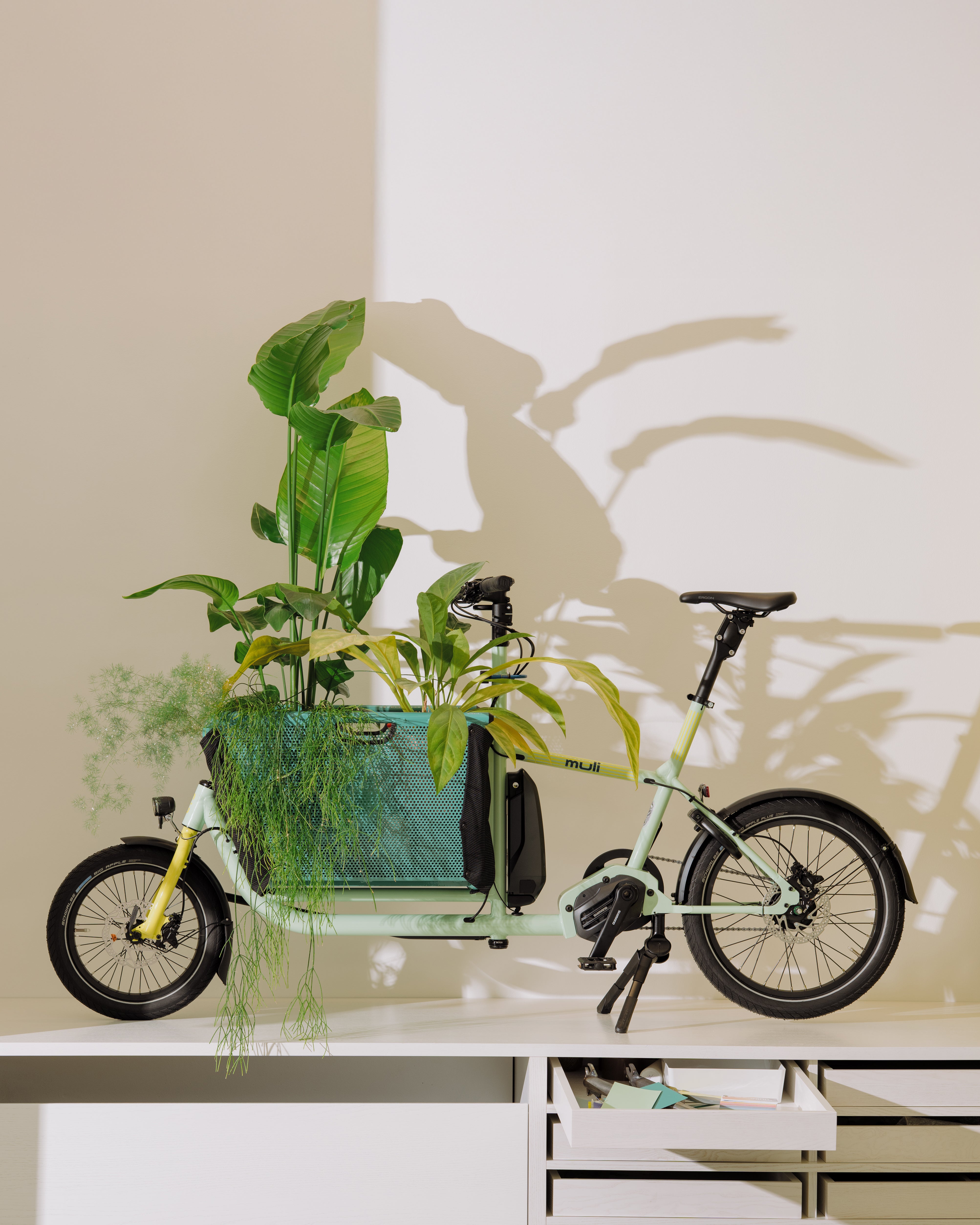 Limited Edition muli cycles x Besau-Marguerre "st" Nexus5 Di2 Nabenschaltung - mint yellow