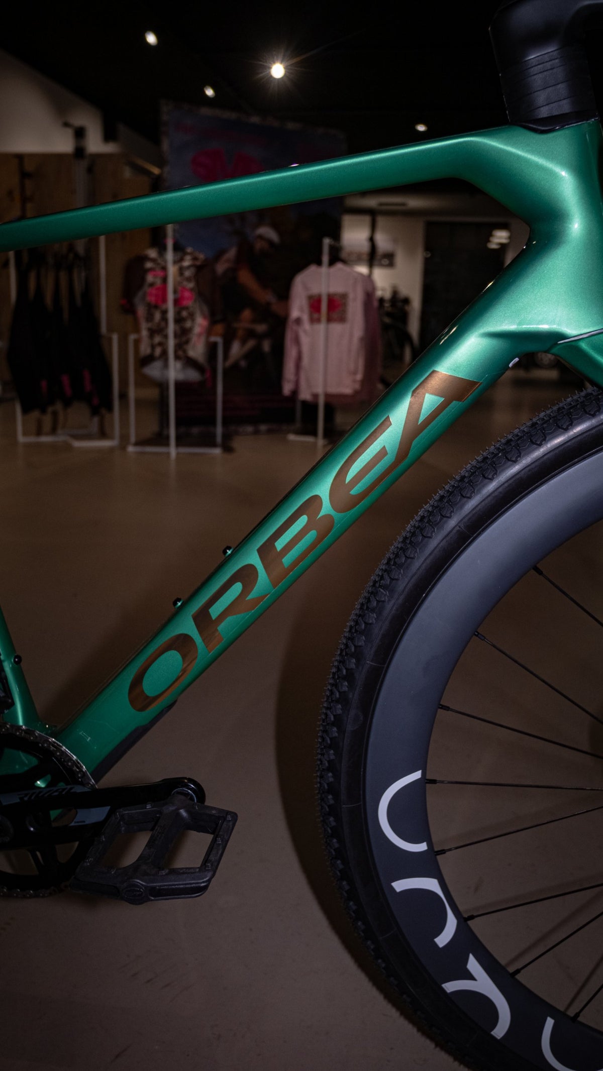 Orbea Terra Race M31eLtD Carbon, My-O, Medium - Mintalized / Titan Gold